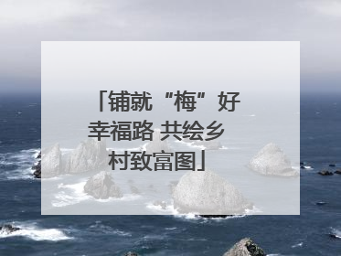 铺就“梅”好幸福路 共绘乡村致富图